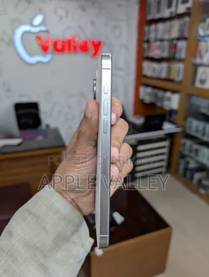 Apple iPhone 15 Pro Max 256 GB White