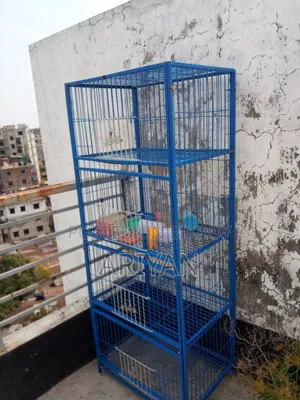 কবুতরের খাঁচা
