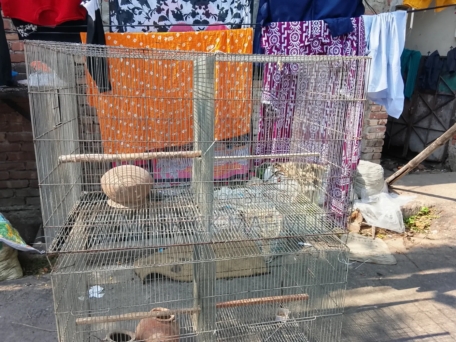 GI Wire Cage