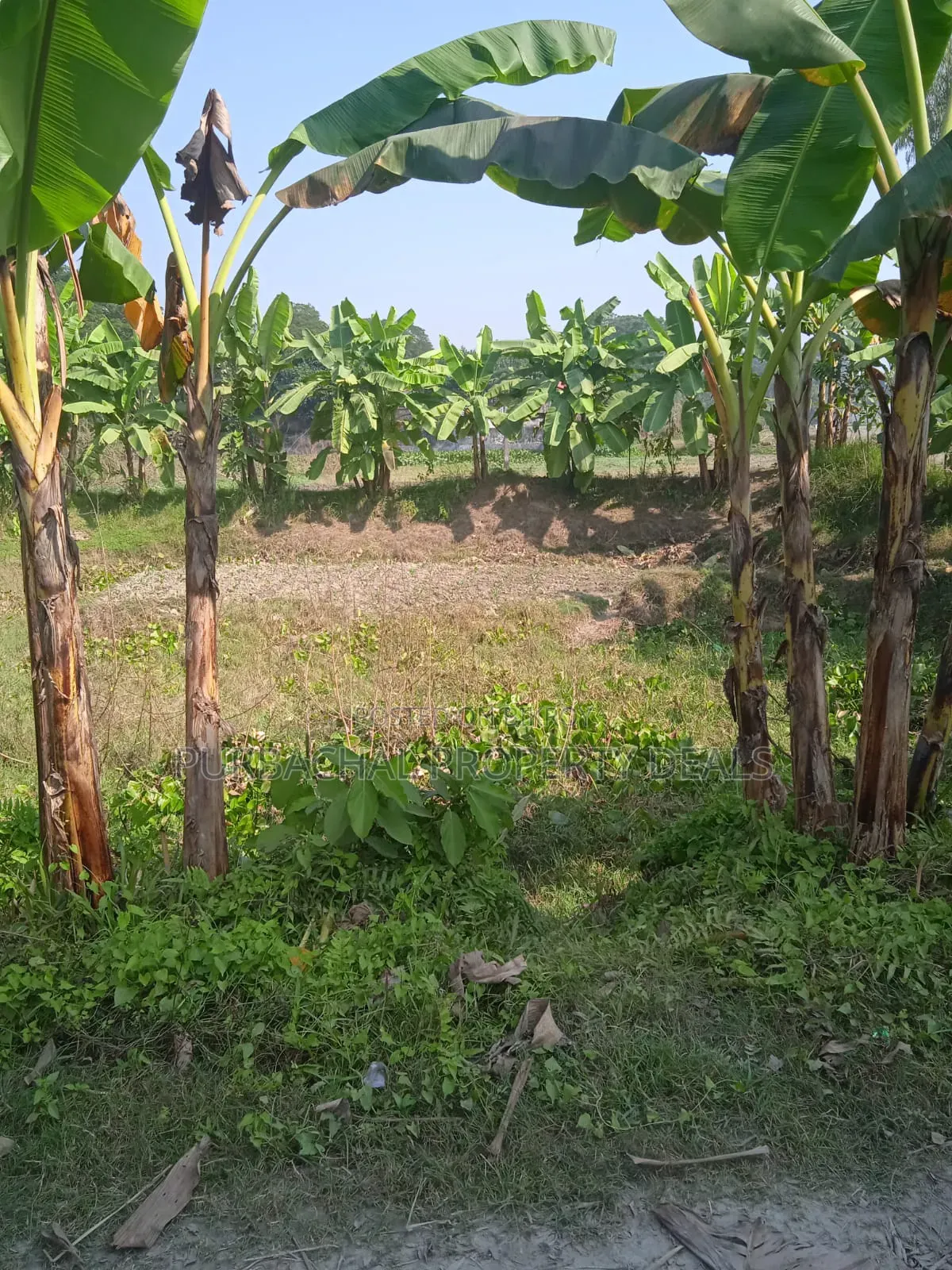 7 Decimal Land for Sale in a Modern Residential Area Near Purbachal!