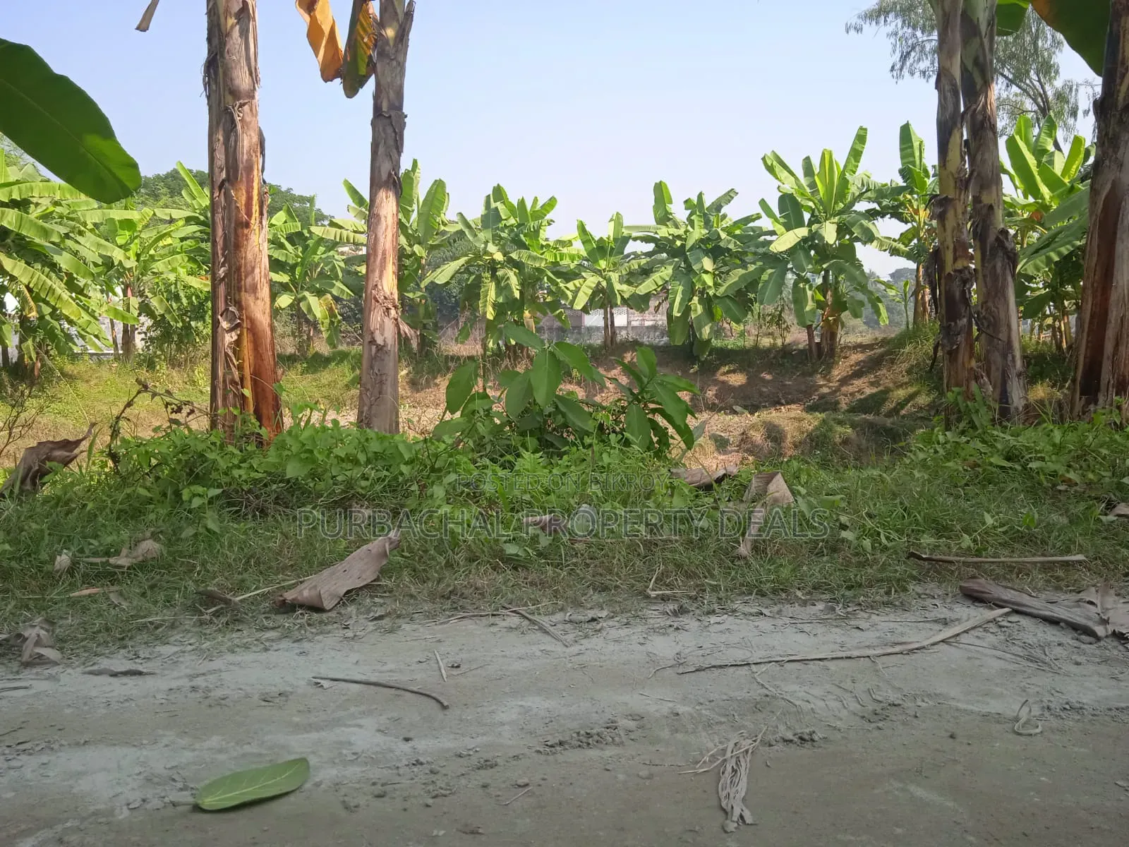 7 Decimal Land for Sale in a Modern Residential Area Near Purbachal!