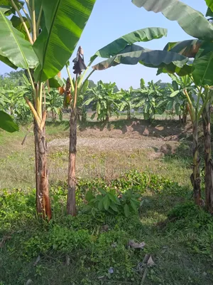 7 Decimal Land for Sale in a Modern Residential Area Near Purbachal!