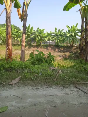 7 Decimal Land for Sale in a Modern Residential Area Near Purbachal!