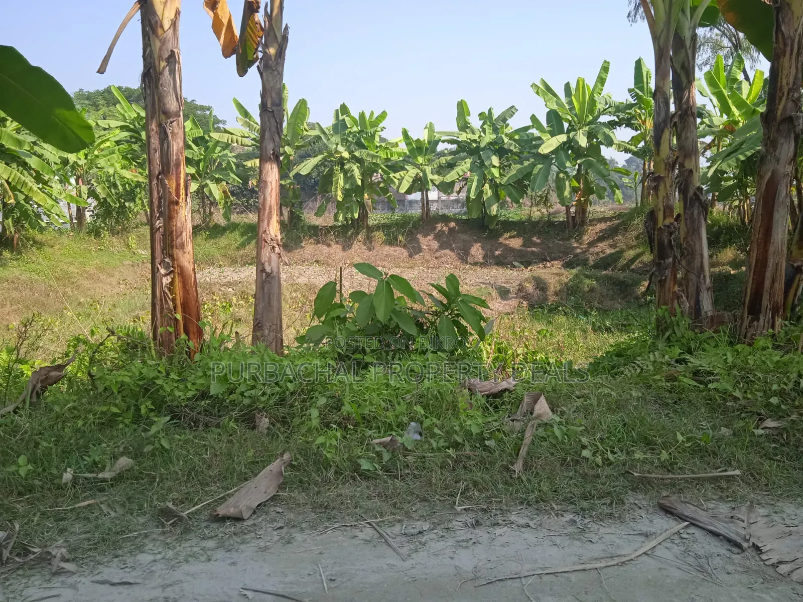 7 Decimal Land for Sale in a Modern Residential Area Near Purbachal!