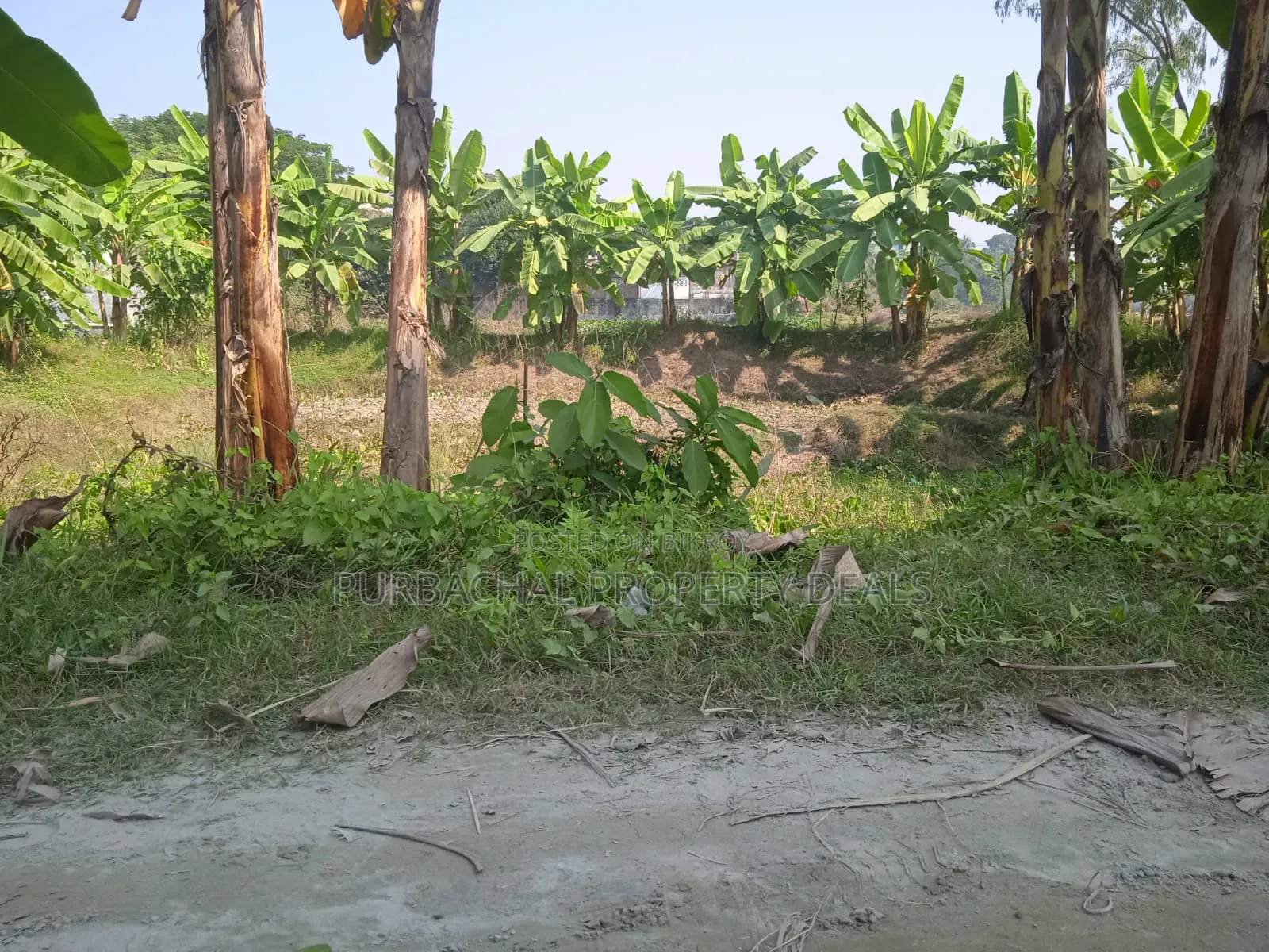 7 Decimal Land for Sale in a Modern Residential Area Near Purbachal!