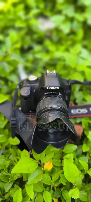 Camera Sale
