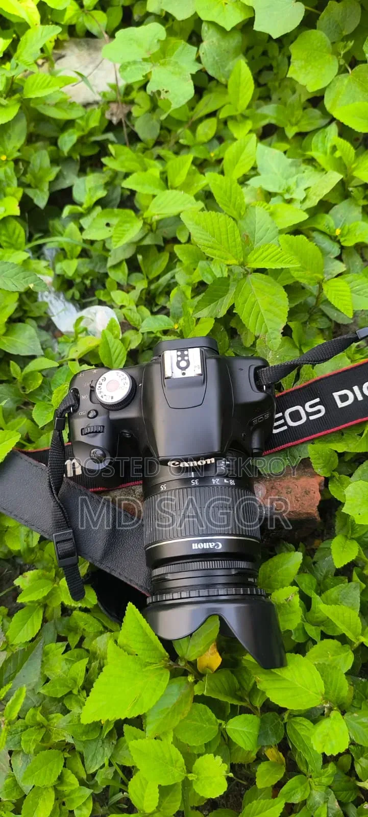 Camera Sale