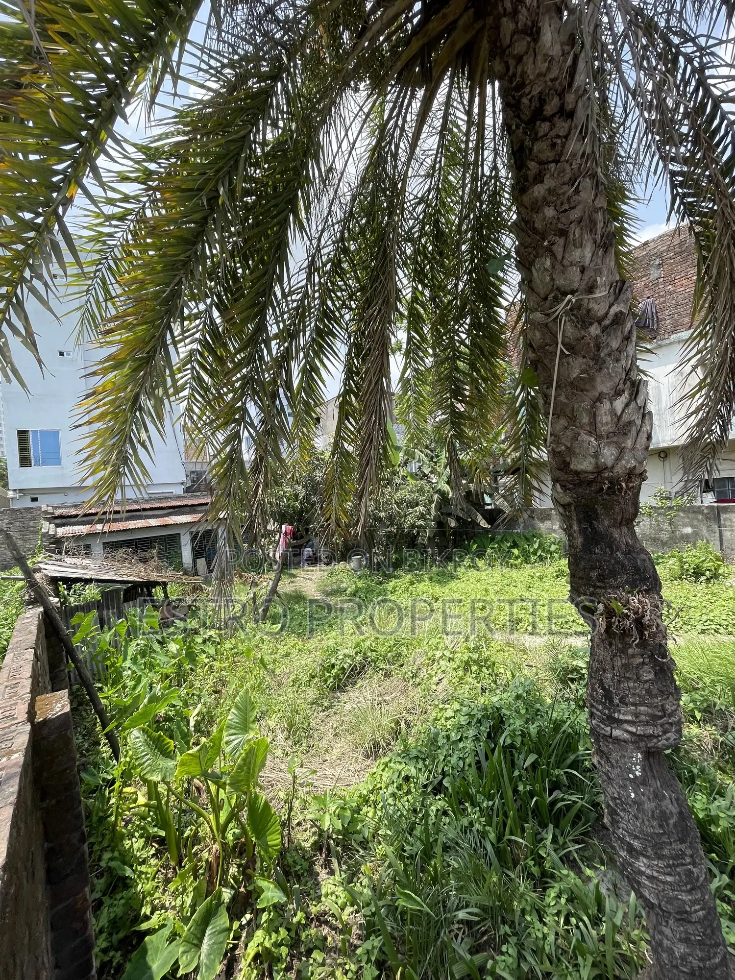 4 Katha land for sale at Sonadanga Thana Road, Khulna