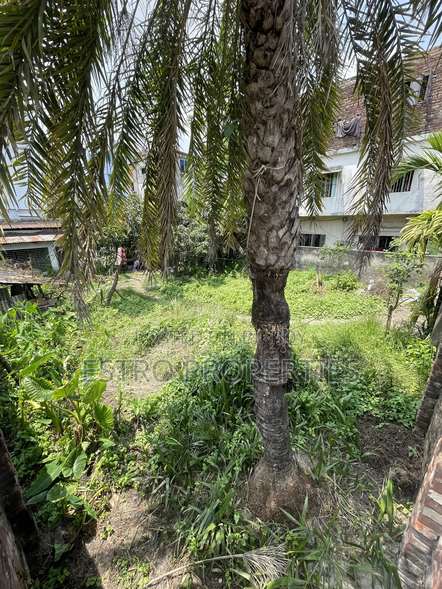 4 Katha land for sale at Sonadanga Thana Road, Khulna