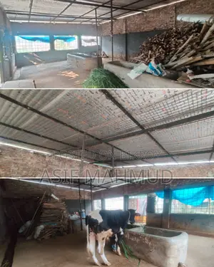 গরুর ফার্ম ভাড়া দেওয়া হবে এগ্রো/ডেইরি খামার ধামরাই সাভার ঢাকা