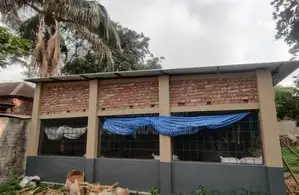 গরুর ফার্ম ভাড়া দেওয়া হবে এগ্রো/ডেইরি খামার ধামরাই সাভার ঢাকা