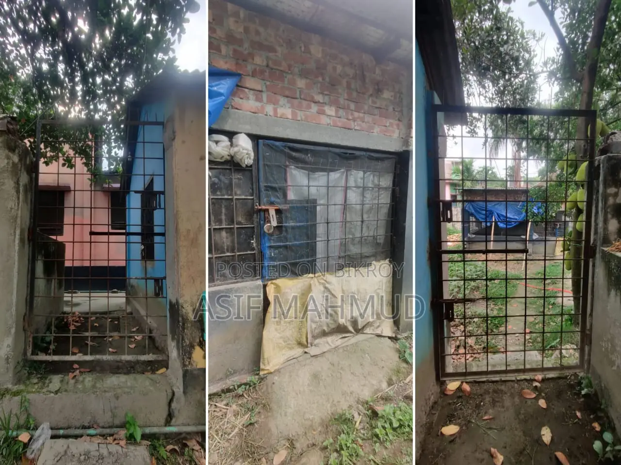 গরুর ফার্ম ভাড়া দেওয়া হবে এগ্রো/ডেইরি খামার ধামরাই সাভার ঢাকা