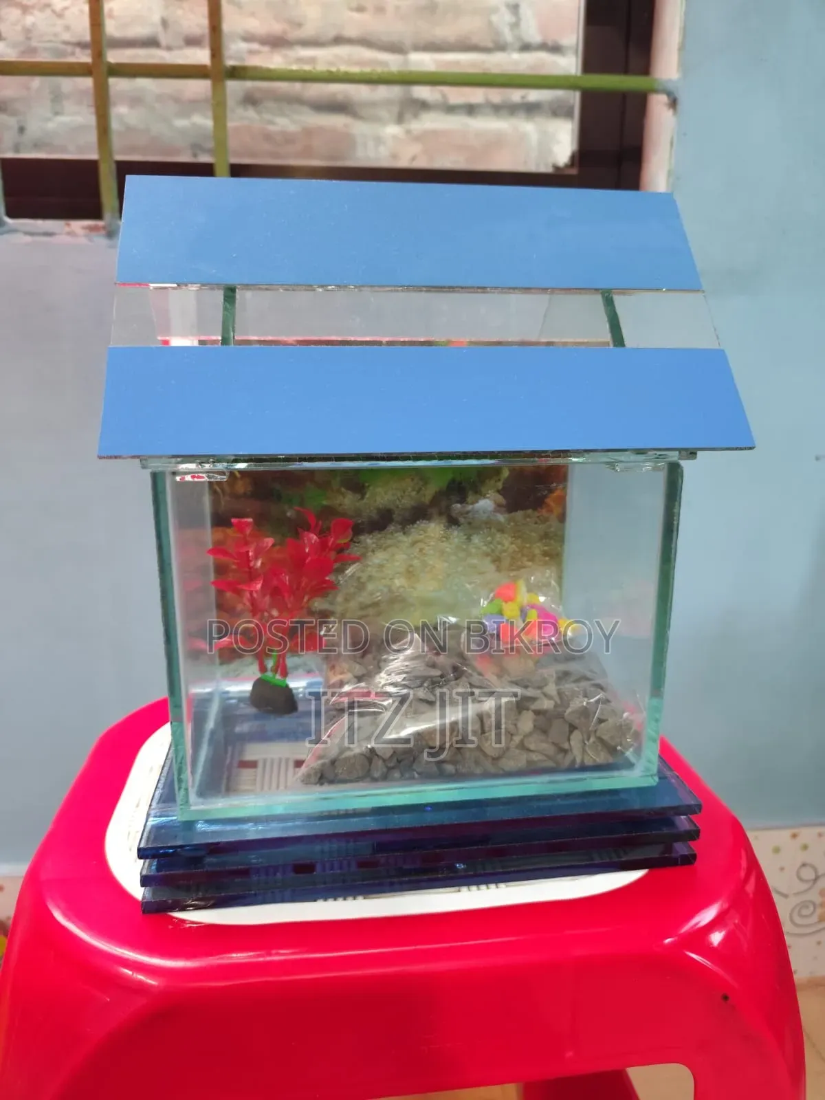 An Attractive Aquarium