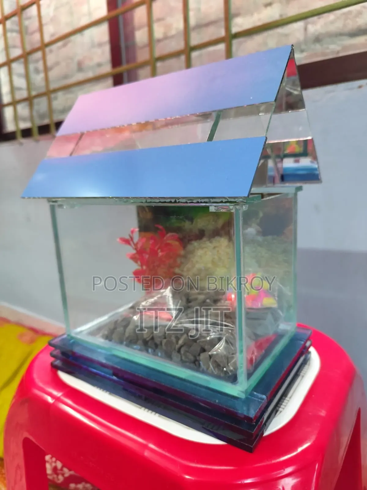 An Attractive Aquarium
