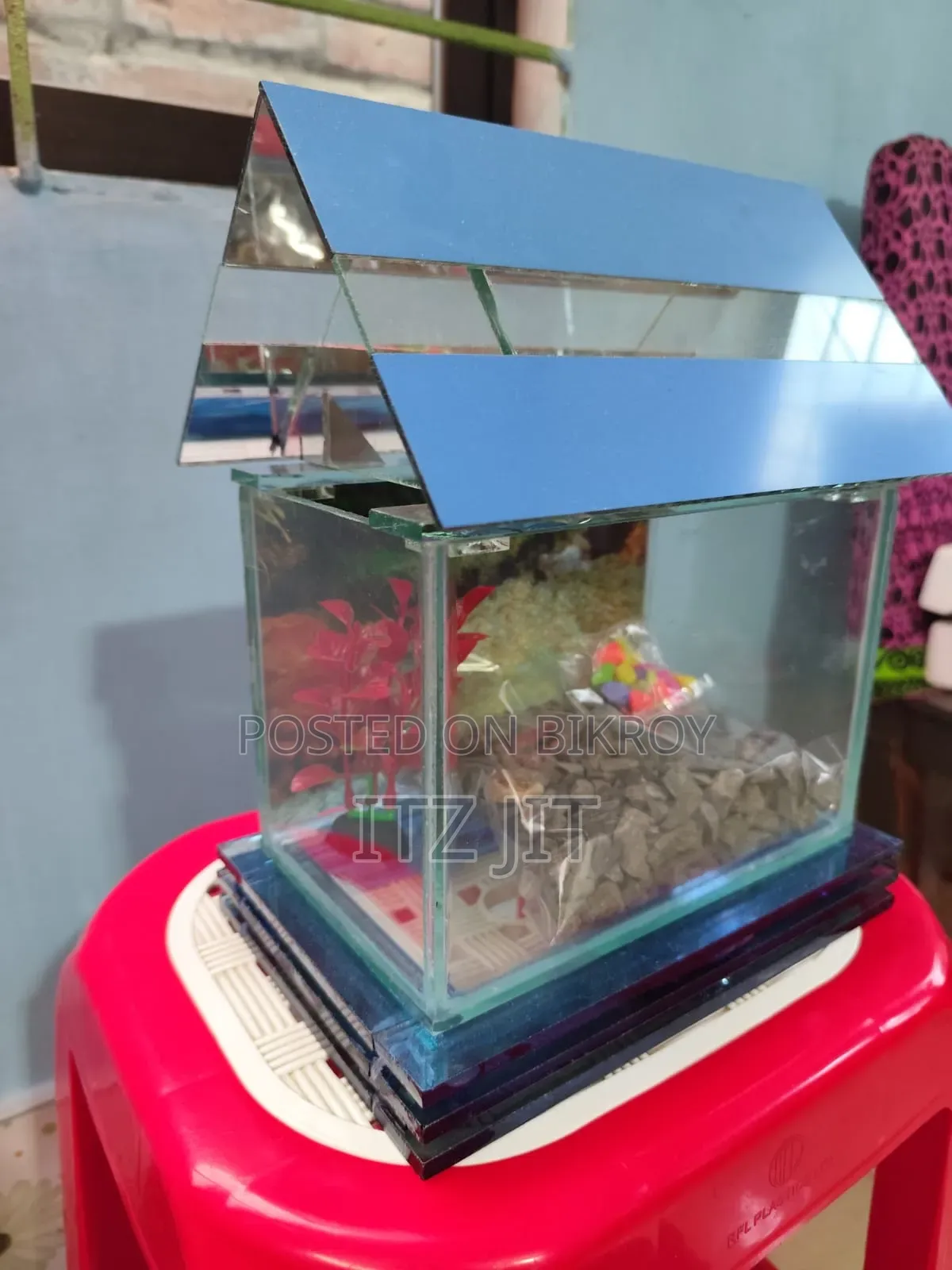 An Attractive Aquarium