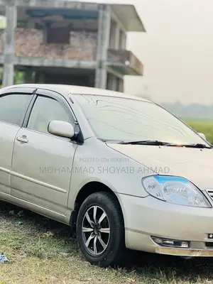 Toyota Corolla Sedan 2003 Silver