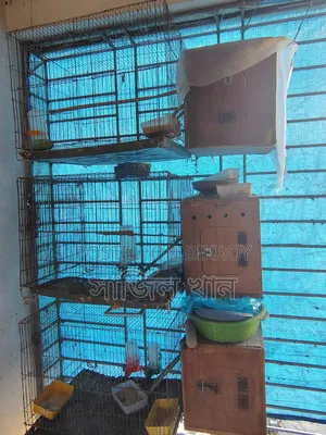পুরাতন পাখির খাঁচা
