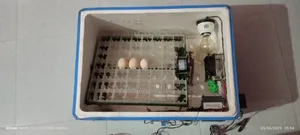 Egg Incubator