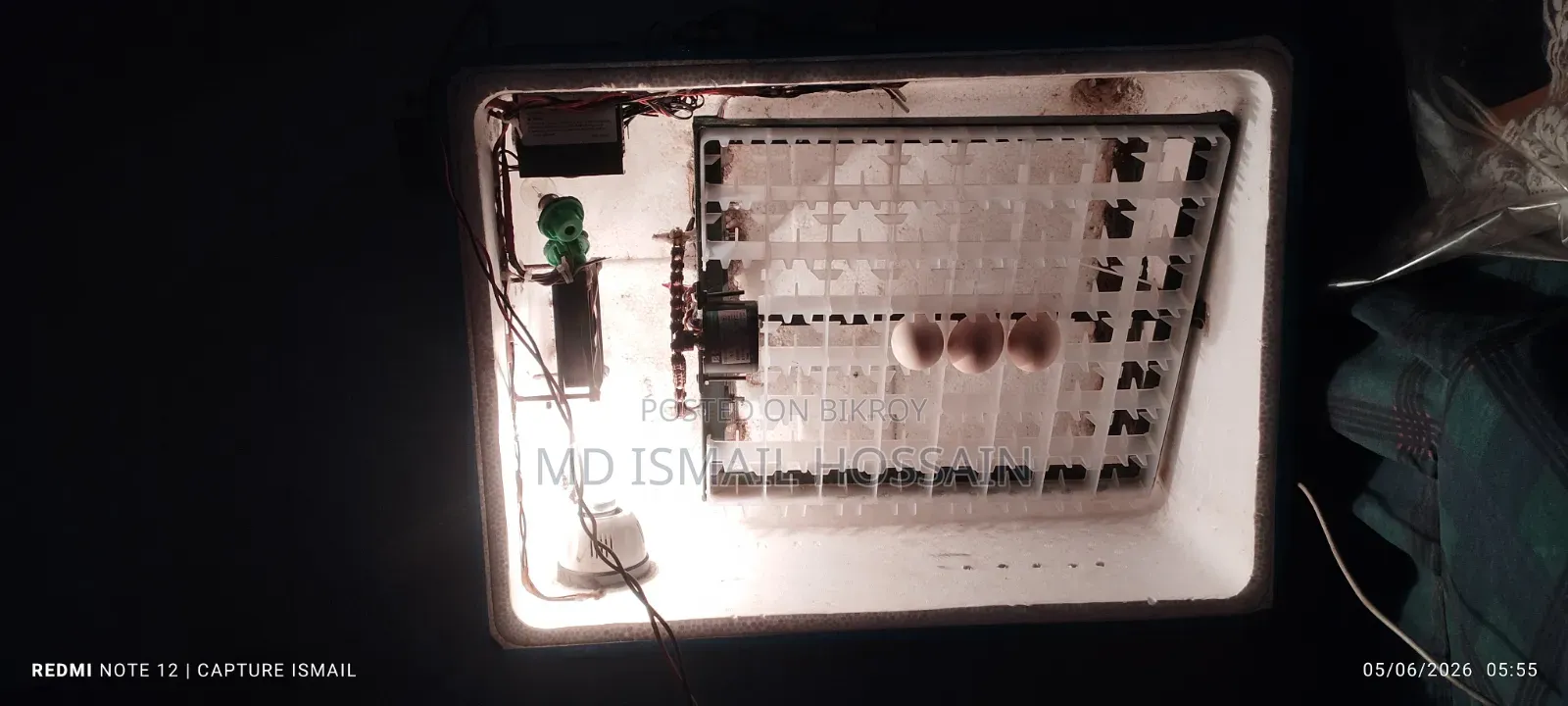 Egg Incubator