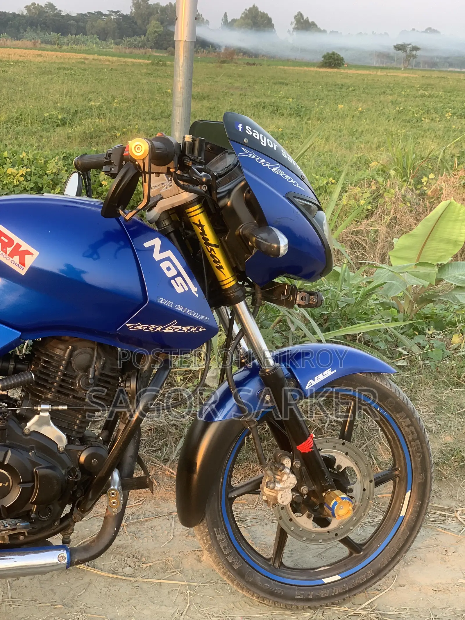 Bajaj Pulsar 150 2011 Blue