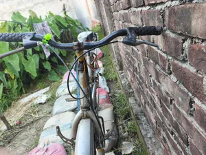 Non-Gear Bicycle