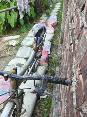 Non-Gear Bicycle