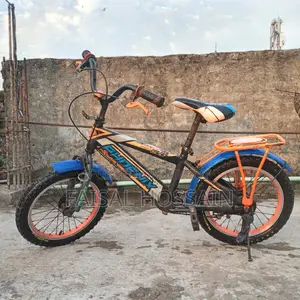 16" Phoenix Cycle for 5-10 Year Old Kids