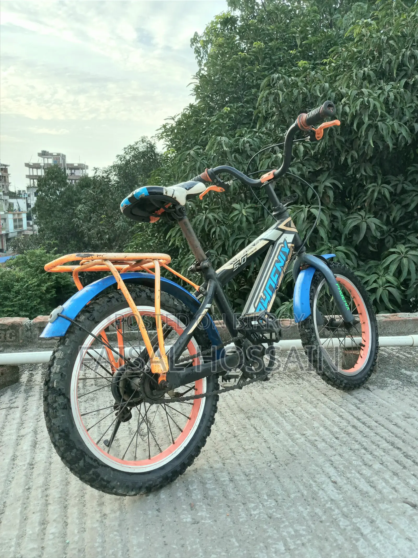 16" Phoenix Cycle for 5-10 Year Old Kids