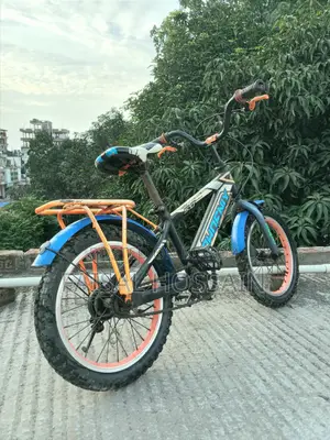 16" Phoenix Cycle for 5-10 Year Old Kids