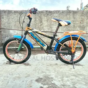 16" Phoenix Cycle for 5-10 Year Old Kids