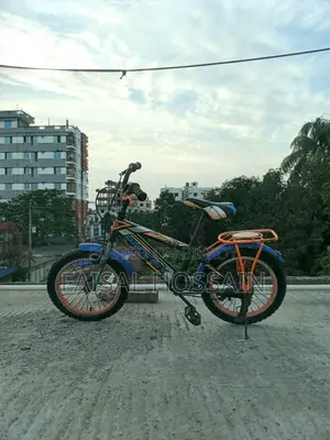 16" Phoenix Cycle for 5-10 Year Old Kids