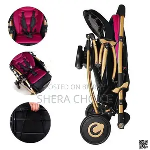 Smart Parenting Solution—C3 Premium Baby Stroller