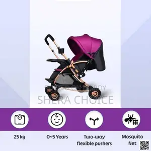 Smart Parenting Solution—C3 Premium Baby Stroller