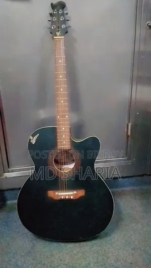 সিগনেচার ২৬৫ গিটার