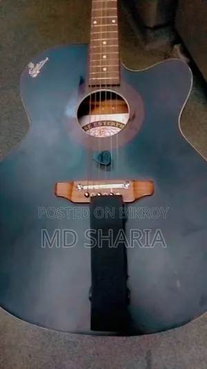সিগনেচার ২৬৫ গিটার