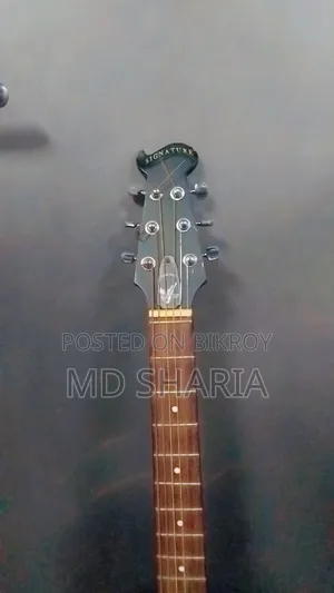 সিগনেচার ২৬৫ গিটার