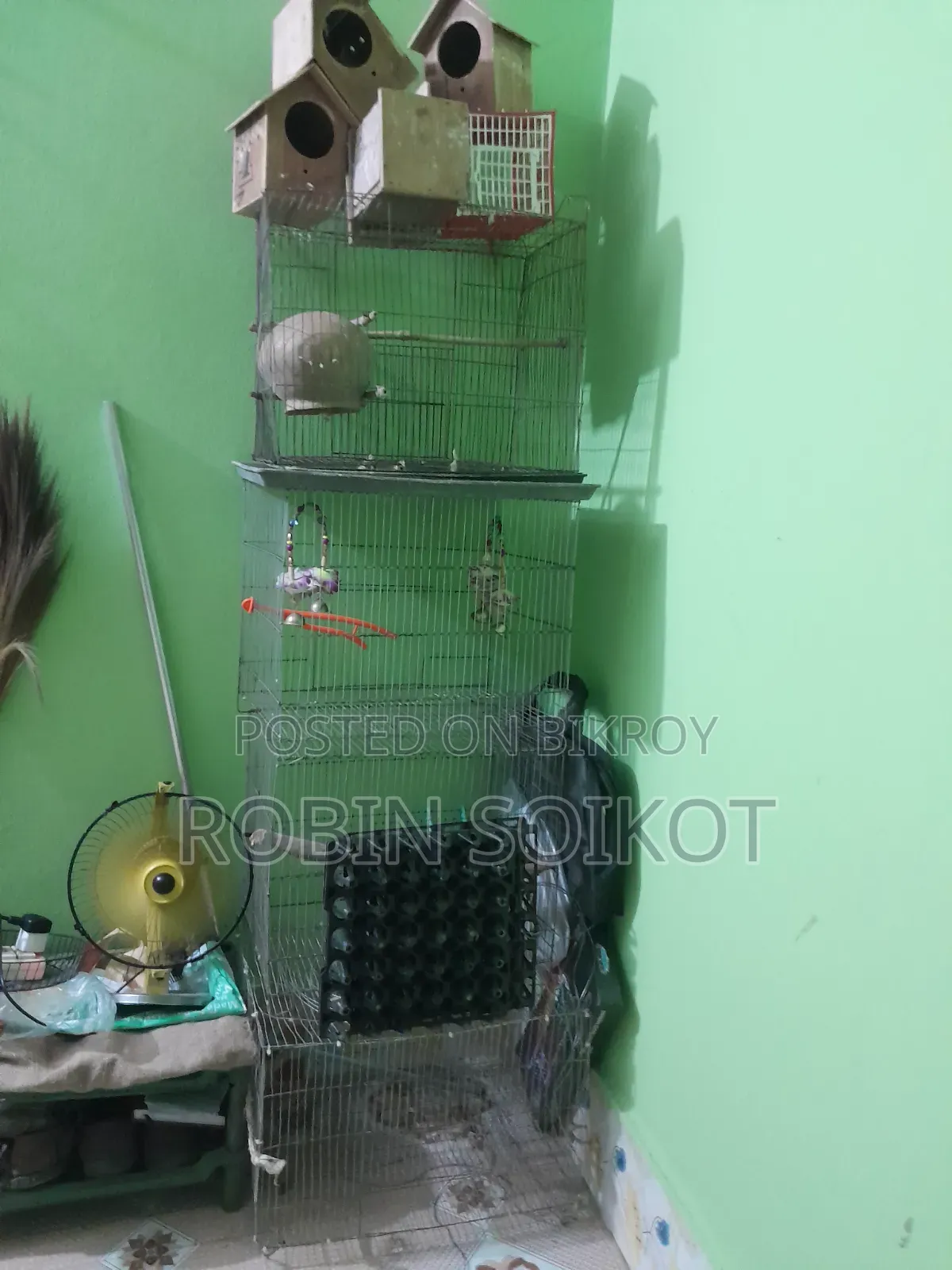পাখির খাচা