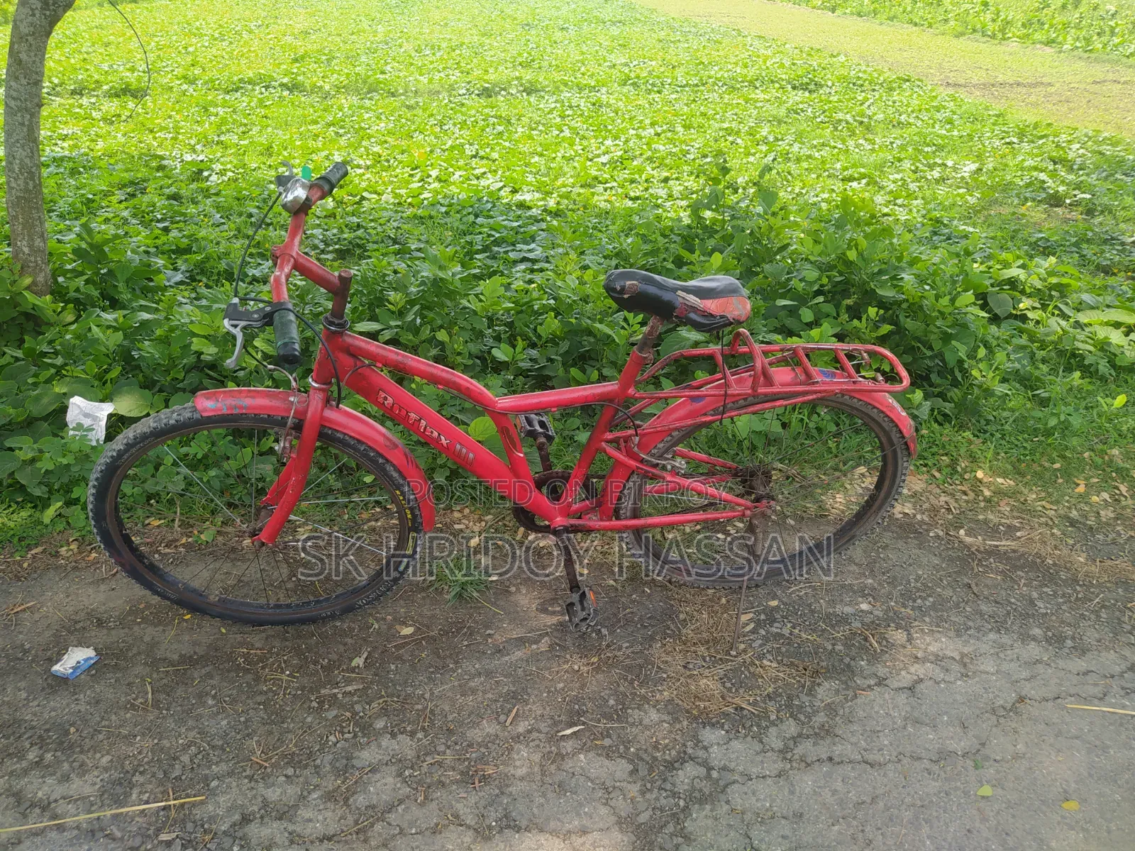Bicycle