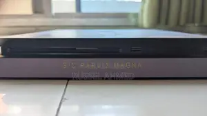 Playstation 4 (PS4)