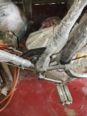 নতুন দুরন্ত বাইসাইকেল