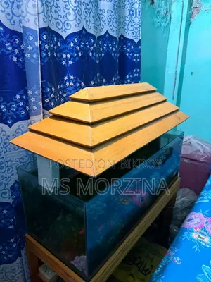 মাছের এ্যাকুরিয়াম