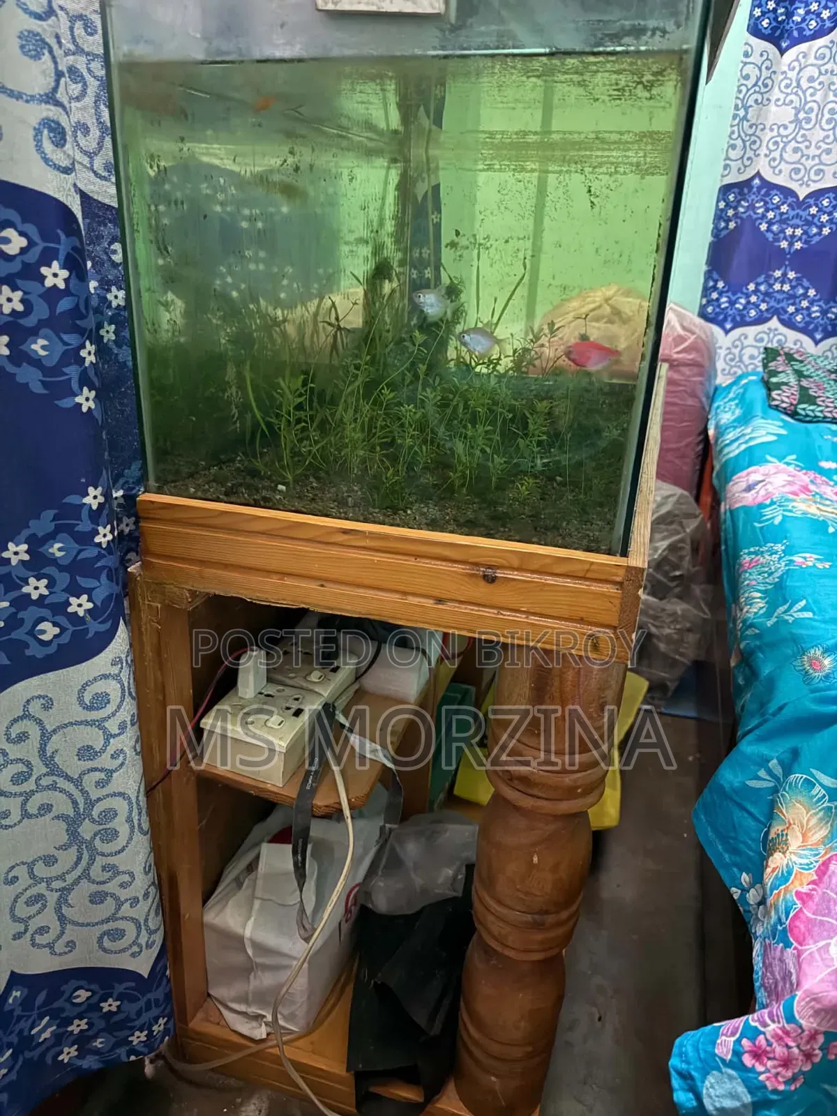 মাছের এ্যাকুরিয়াম