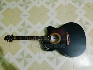 Signature Guitar