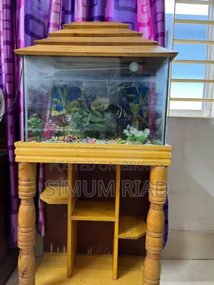Aquarium Full Setup