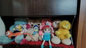 Teddy Bear
