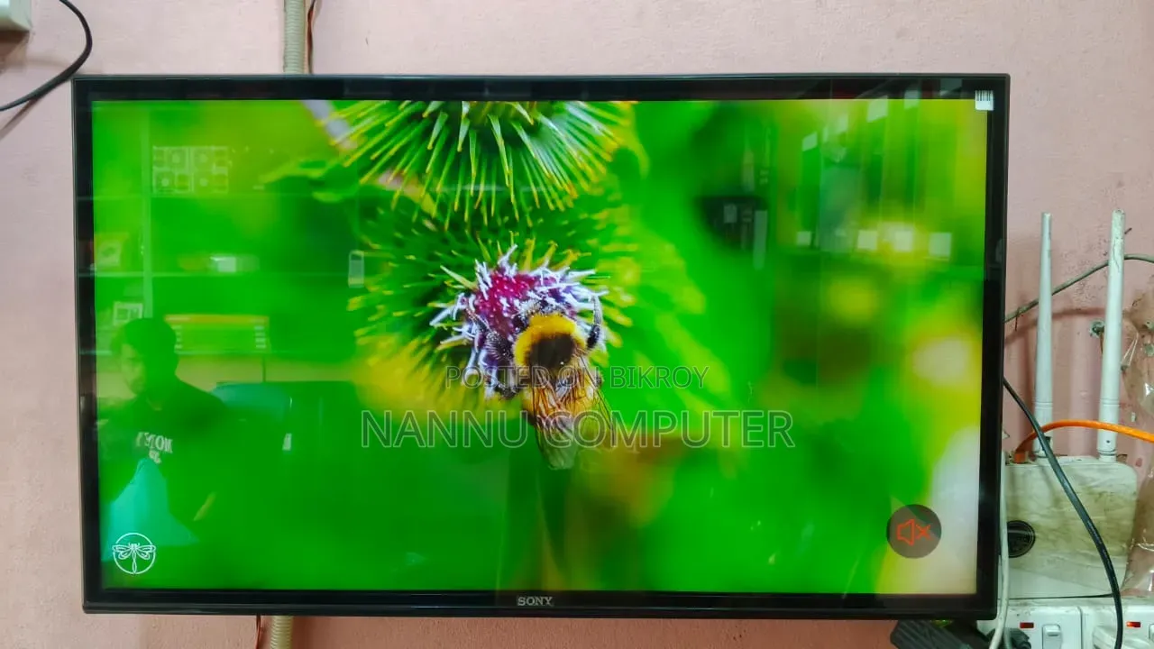 43" Android TV