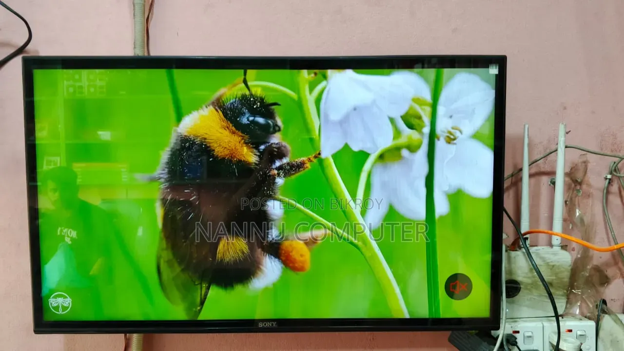 43" Android TV