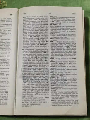 Bengali-English Dictionary