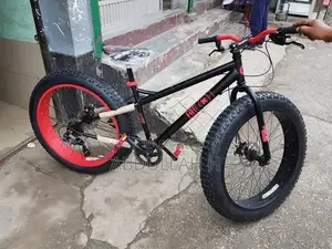 Fat Tire Bike