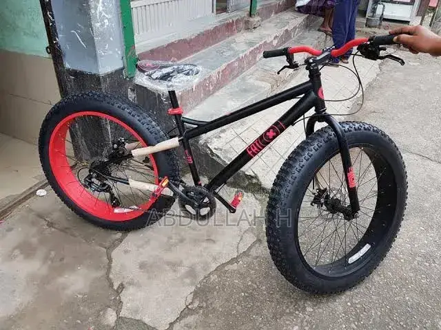 Fat Tire Bike
